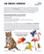 Animals: Student Reading Information & Worksheets Grades 3+