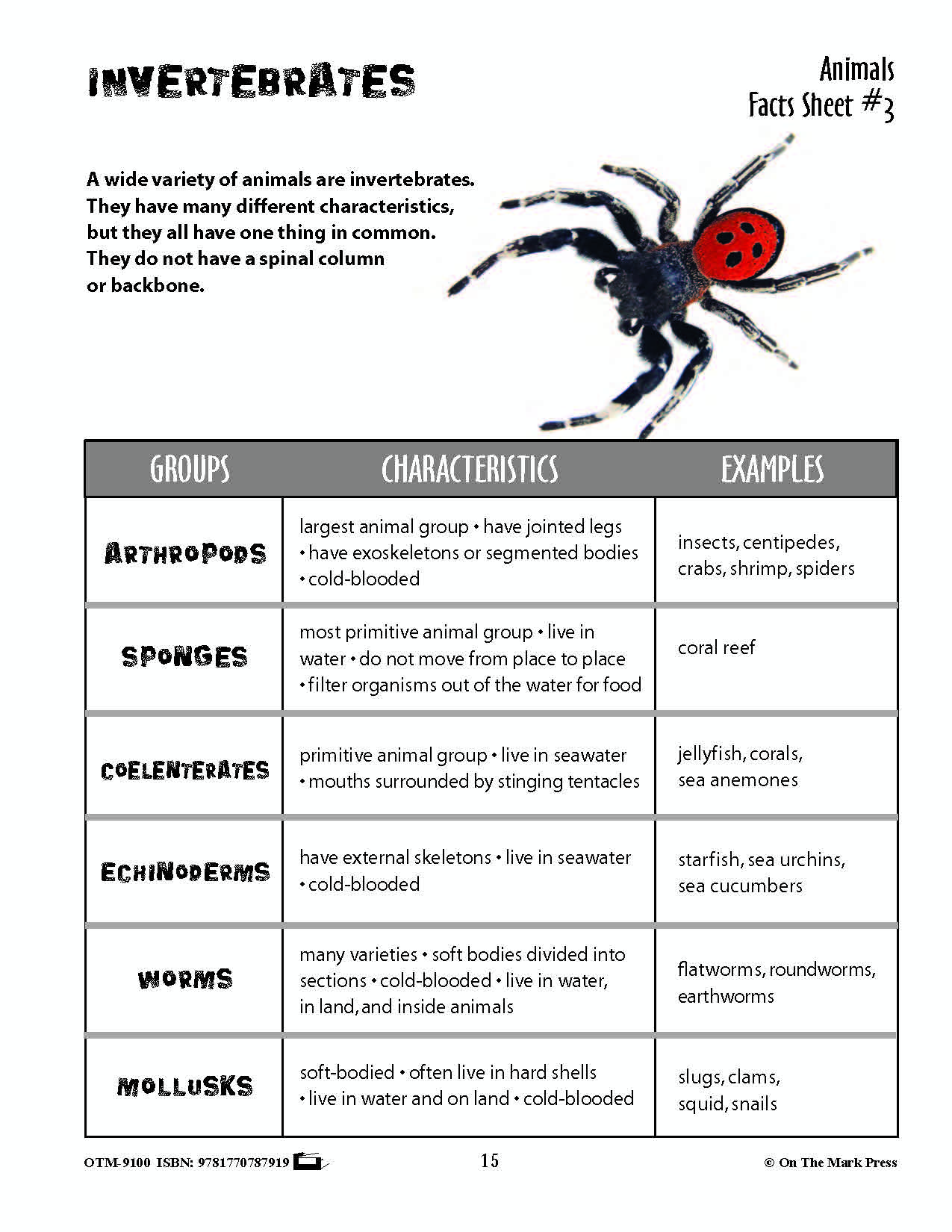 Animals: Student Reading Information & Worksheets Grades 3+