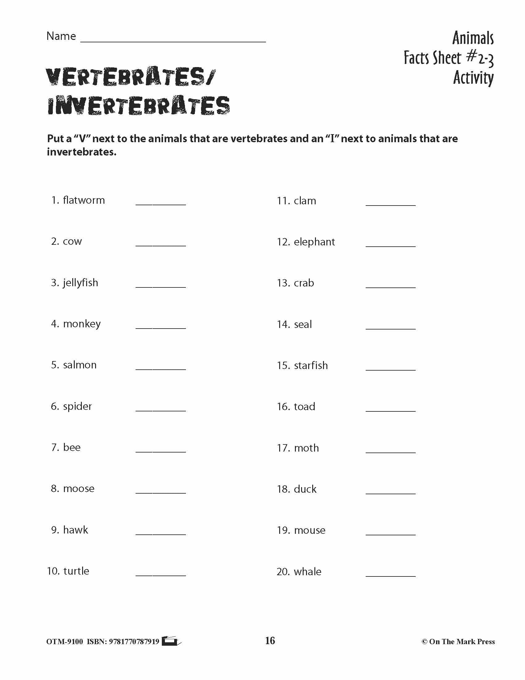 Animals: Student Reading Information & Worksheets Grades 3+