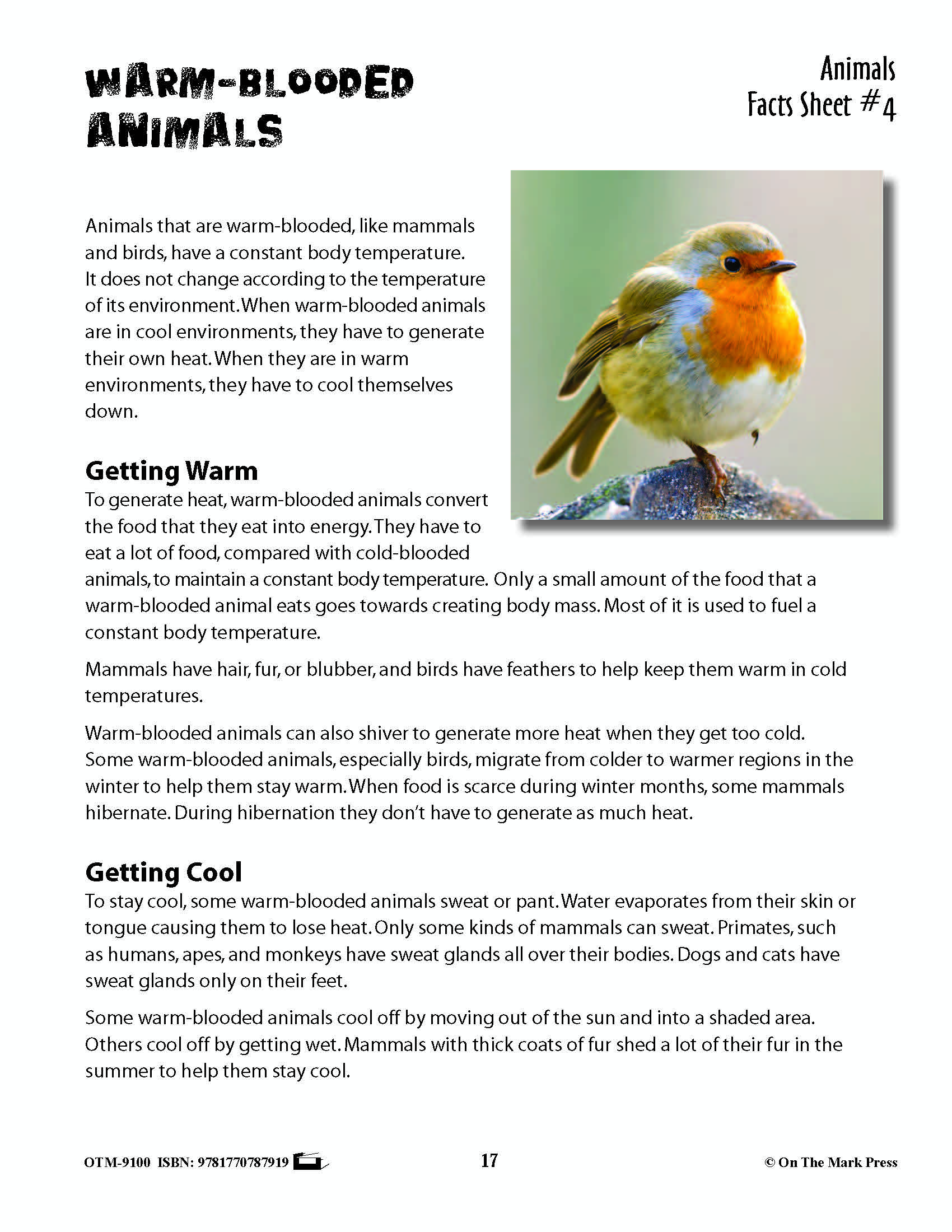 Animals: Student Reading Information & Worksheets Grades 3+