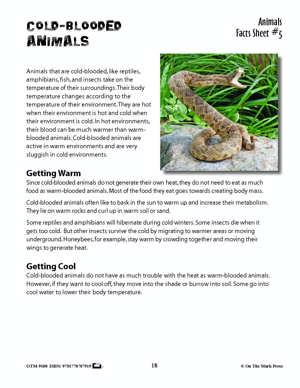 Animals: Student Reading Information & Worksheets Grades 3+