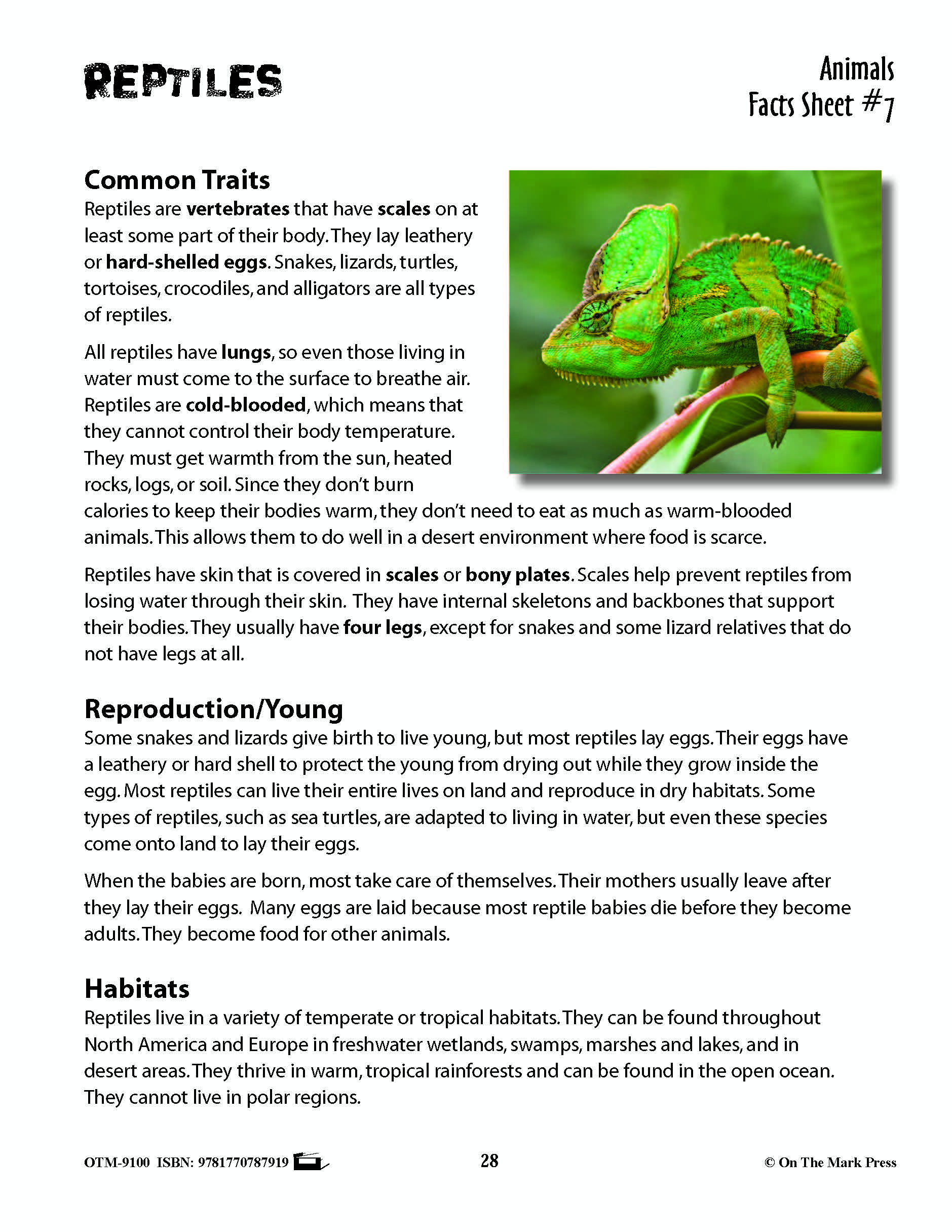 Reptiles Activities & Fast Fact Reading Folder Grades 3+