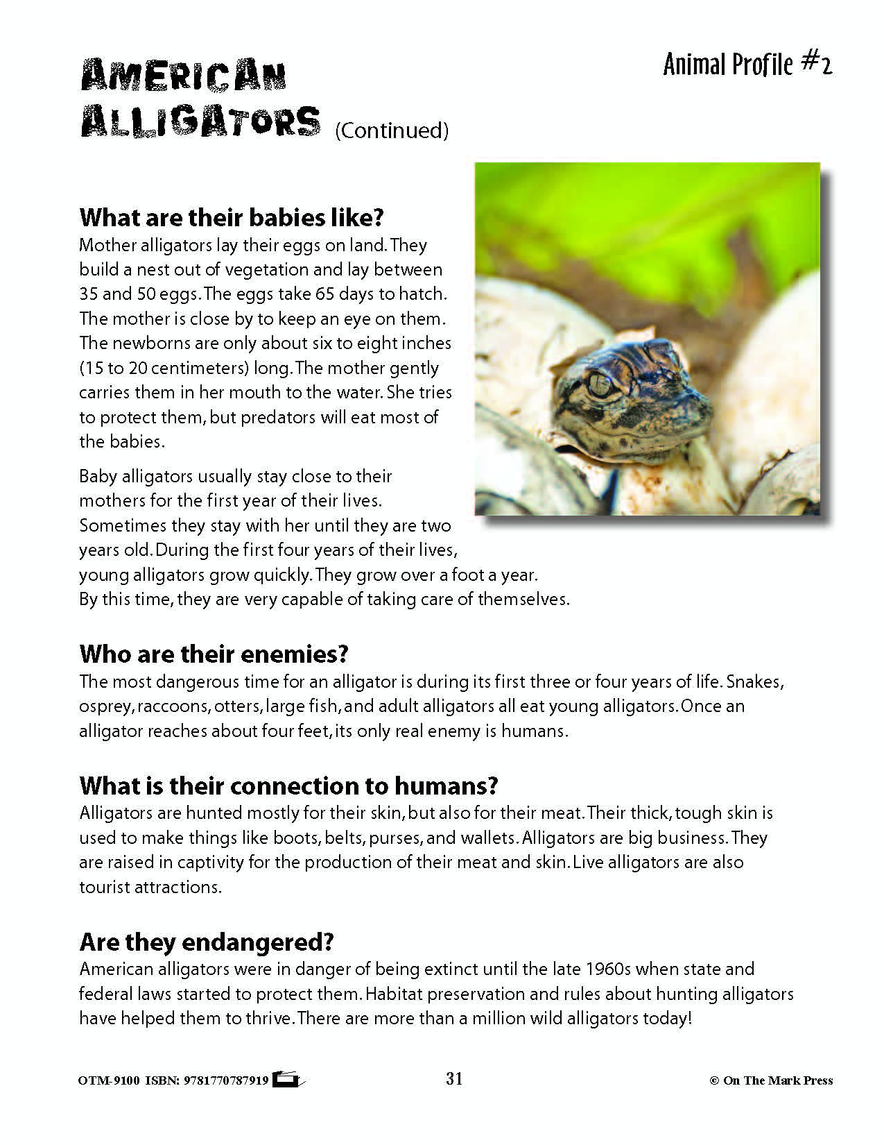 Reptiles Activities & Fast Fact Reading Folder Grades 3+