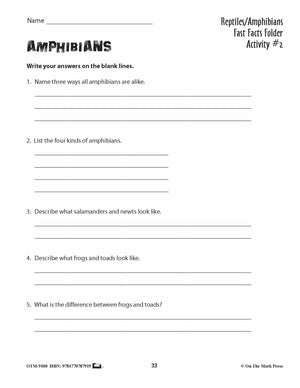 Amphibians Activities & Fast Fact Reading Folder Grades 3+