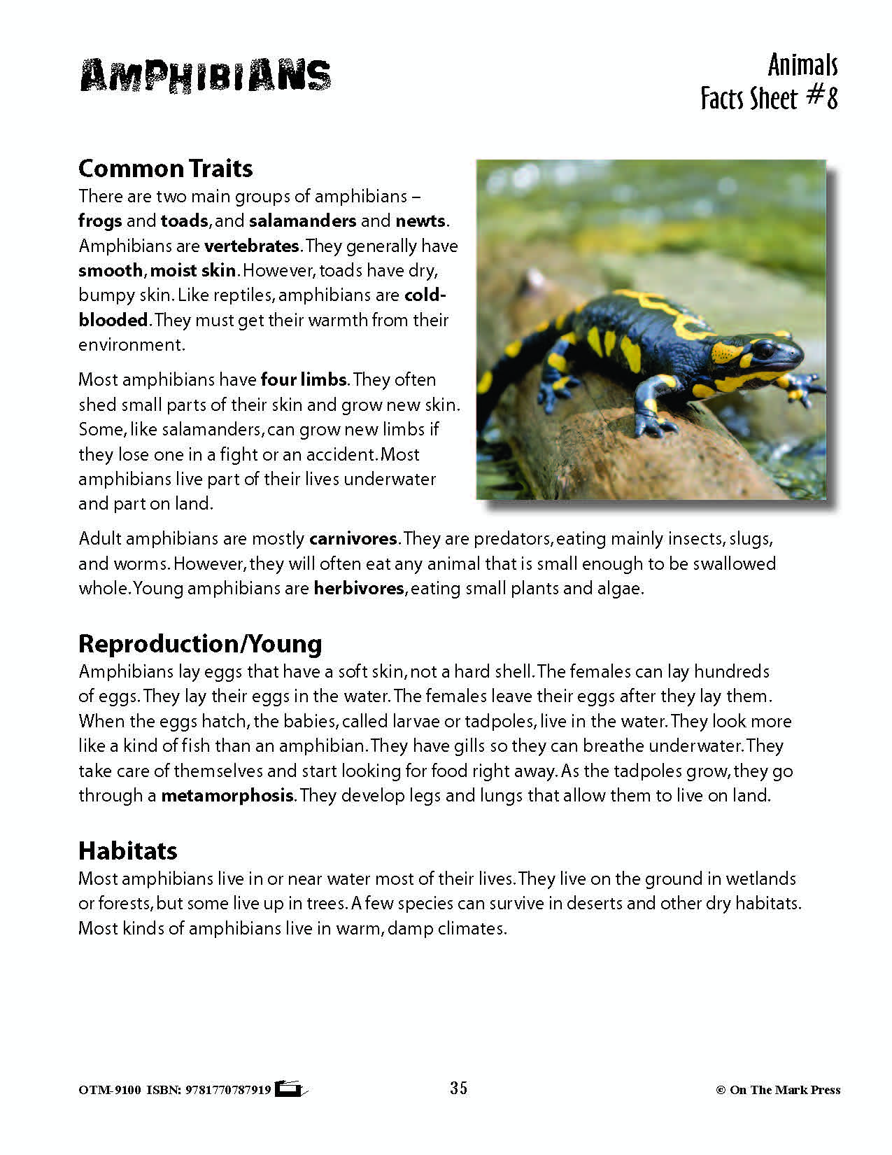 Amphibians Activities & Fast Fact Reading Folder Grades 3+