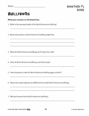 Amphibians Activities & Fast Fact Reading Folder Grades 3+