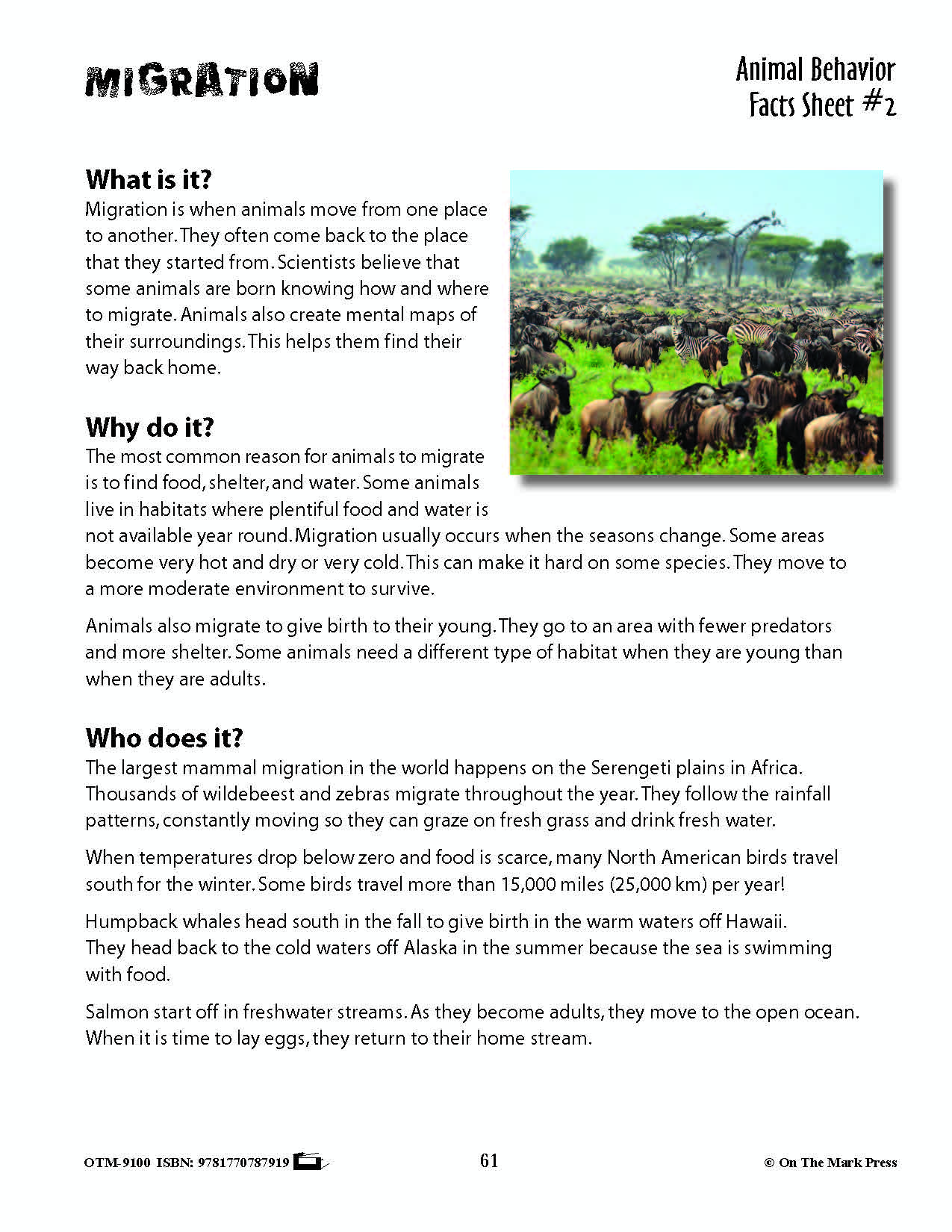 Animal Behavior Activities Grades 3+