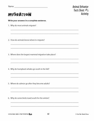 Animal Behavior Activities Grades 3+