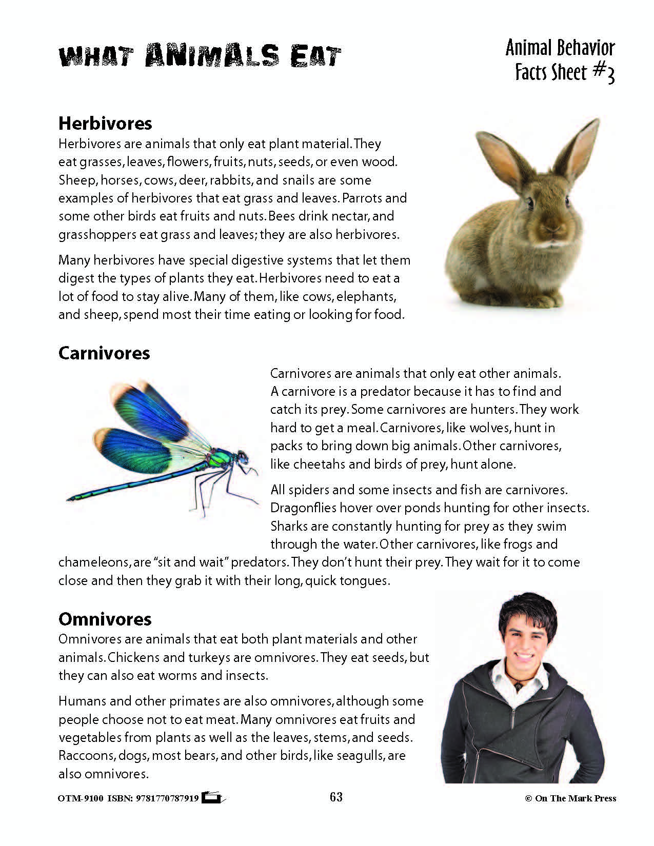 Animal Behavior Activities Grades 3+