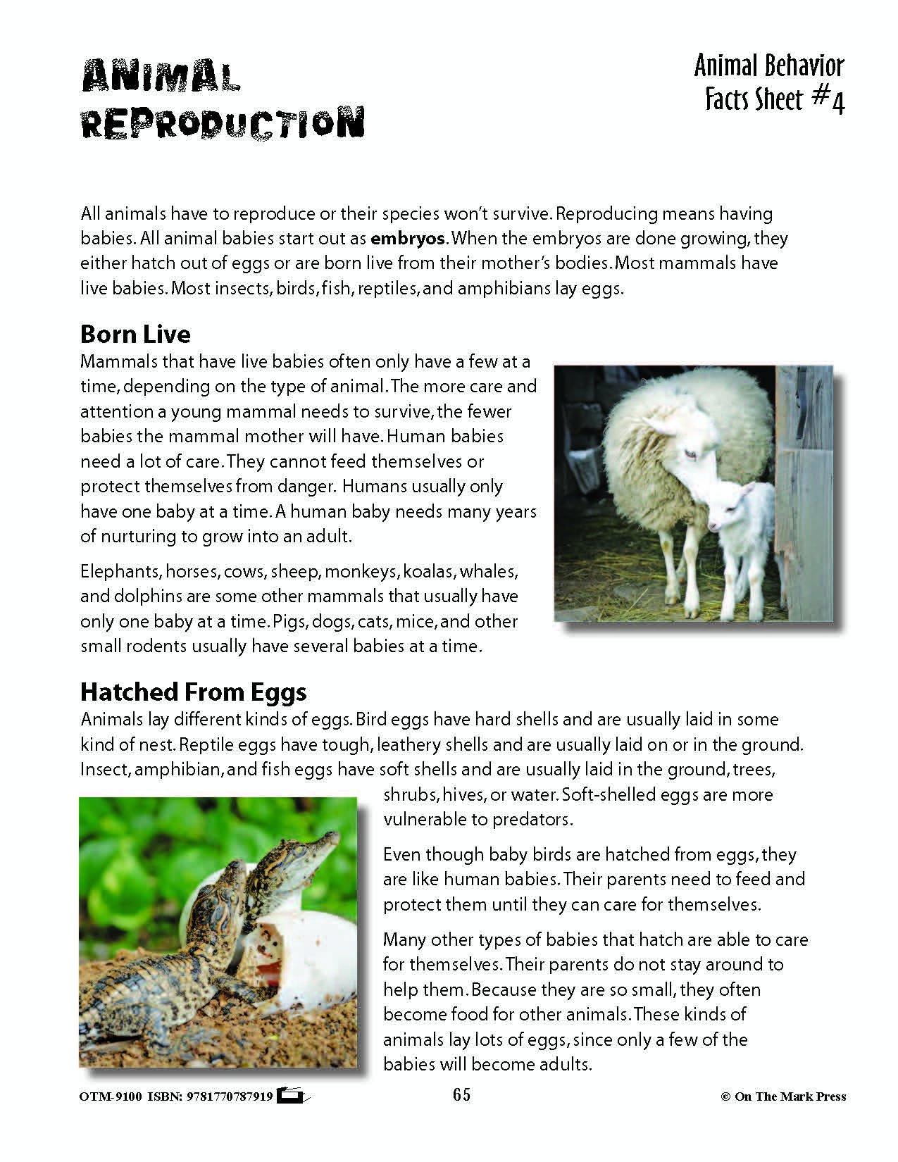 Animal Behavior Activities Grades 3+