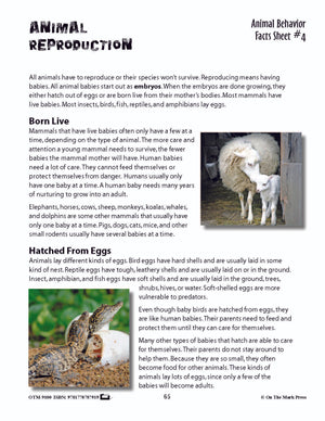 Animal Behavior Activities Grades 3+