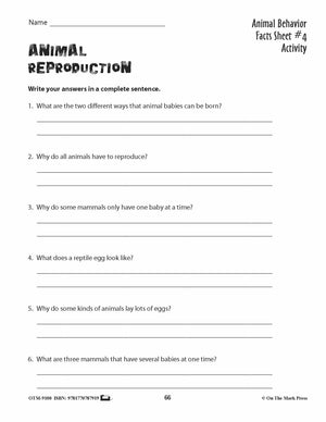 Animal Behavior Activities Grades 3+