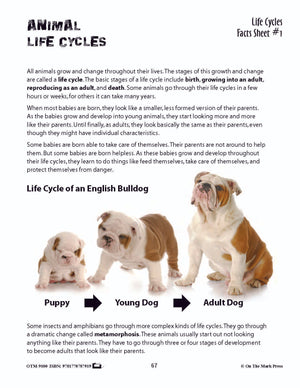 Life Cycles Activities Grades 3+