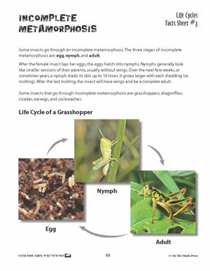 Life Cycles Activities Grades 3+