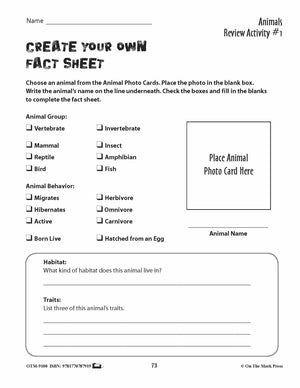 Animal Review Activities Grades 3+