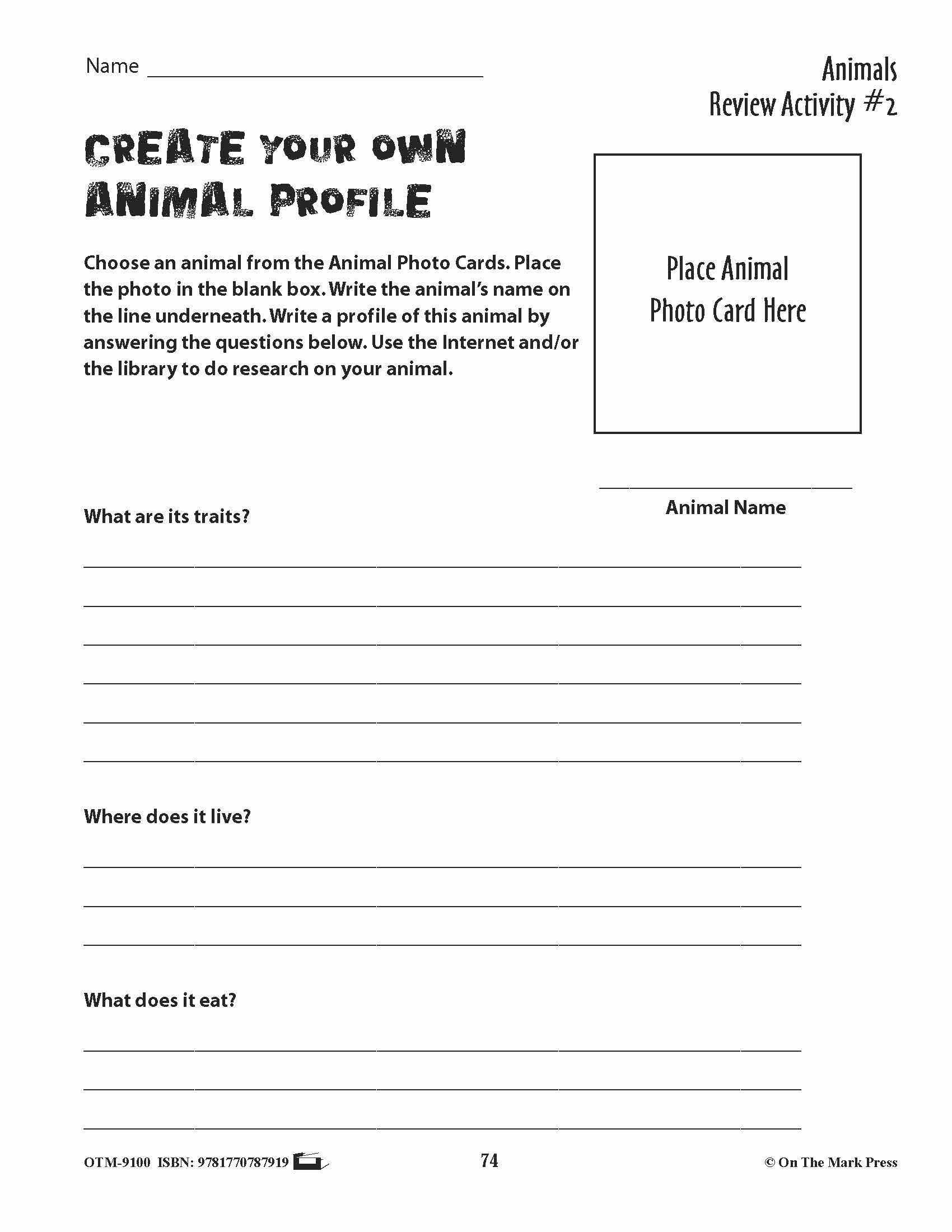 Animal Review Activities Grades 3+