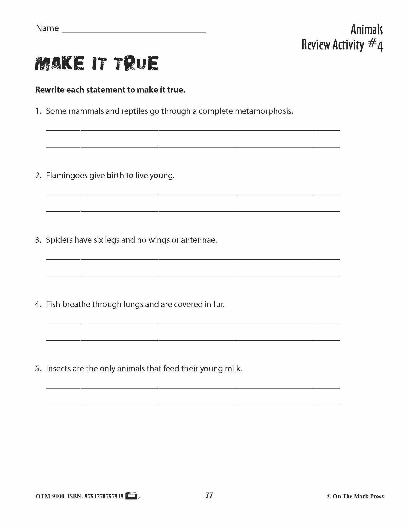 Animal Review Activities Grades 3+