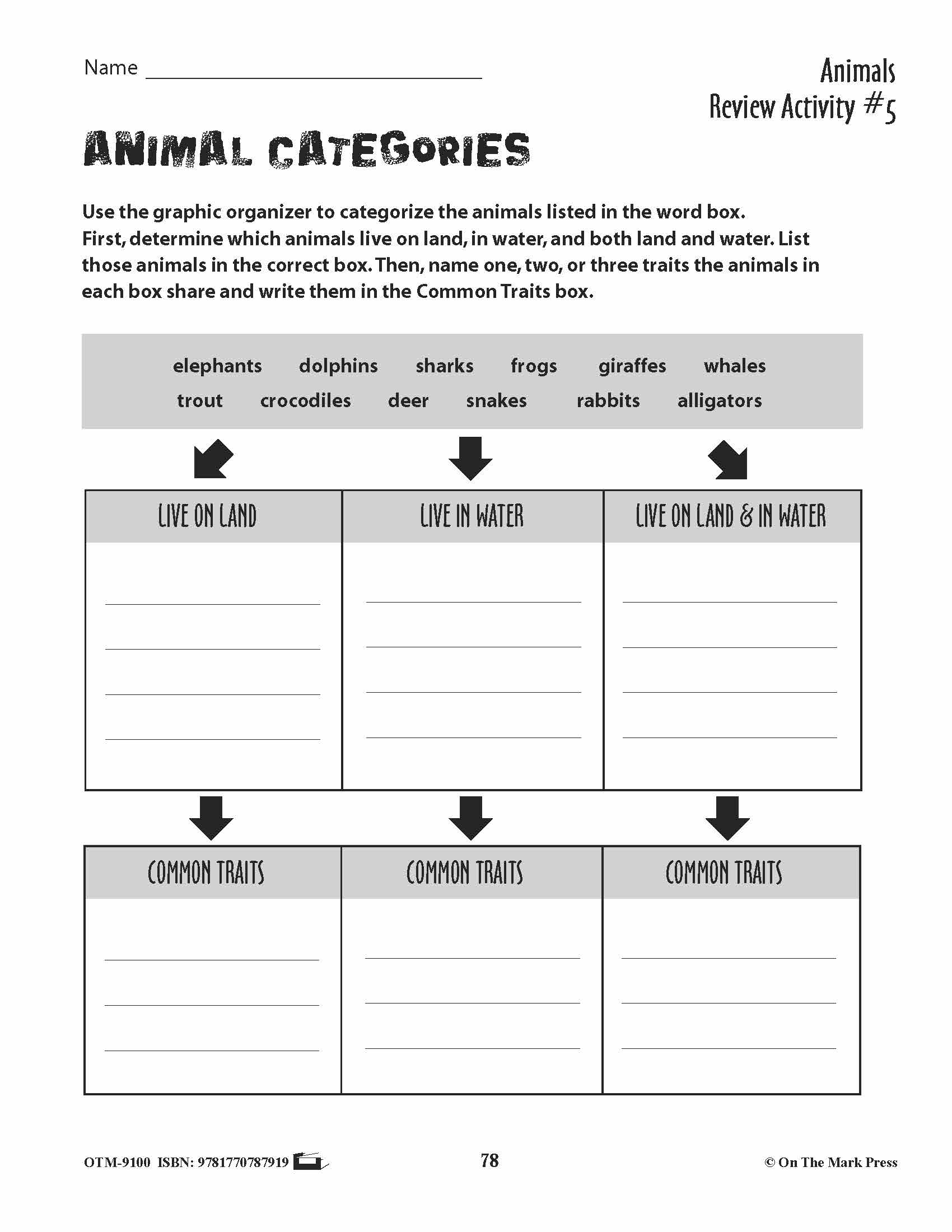 Animal Review Activities Grades 3+