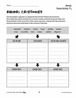 Animal Review Activities Grades 3+