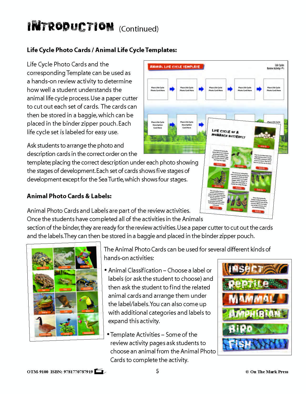 Animal Photo Activity Cards & Classification Labels Grades 3+