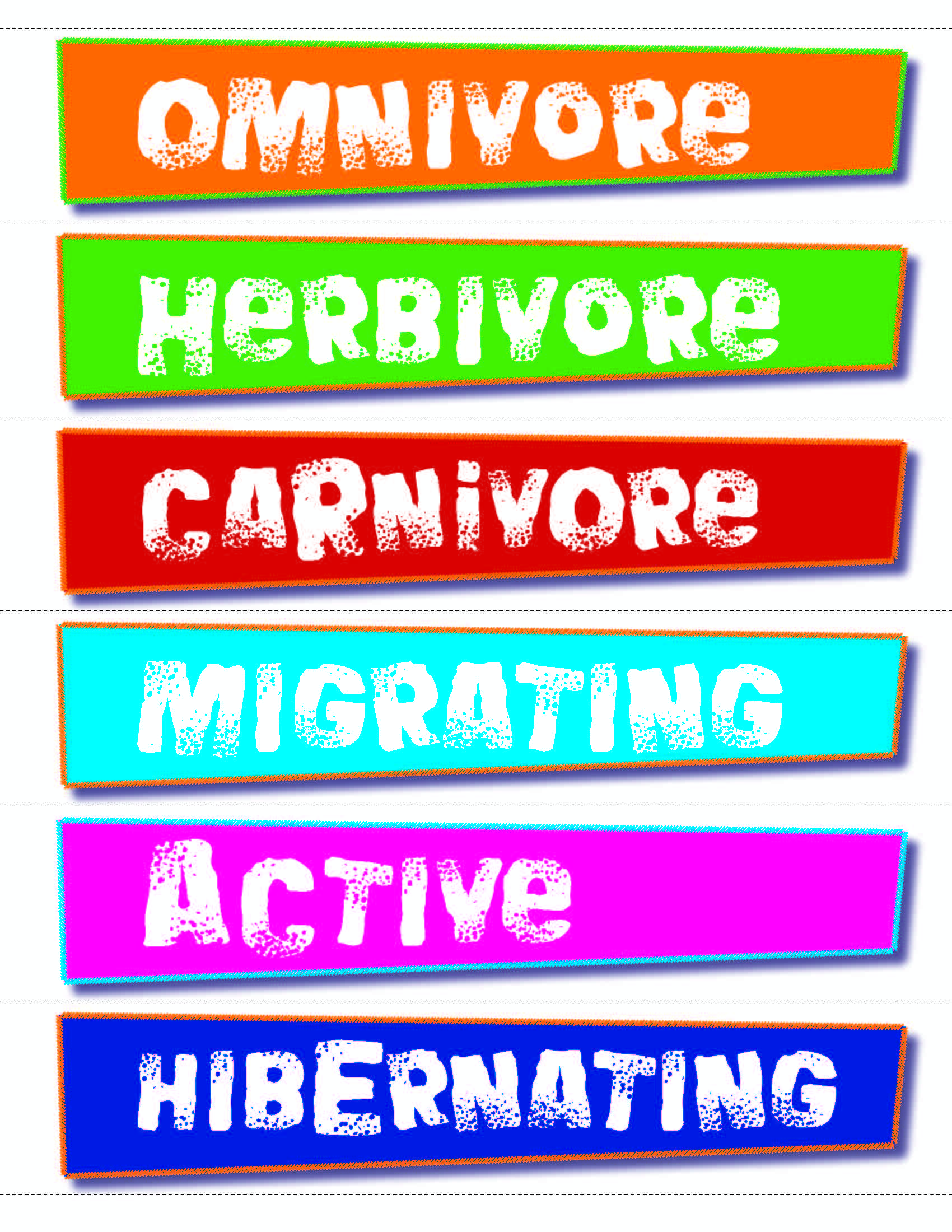 Animal Photo Activity Cards & Classification Labels Grades 3+