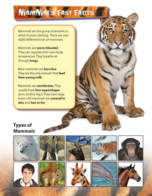 Mammals Full Color 4 Page Reading Folder Grades 3+