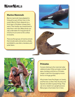 Mammals Full Color 4 Page Reading Folder Grades 3+