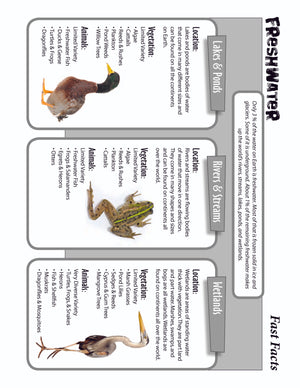 10 Life Biome Full Color Mini-Posters Grades 3+