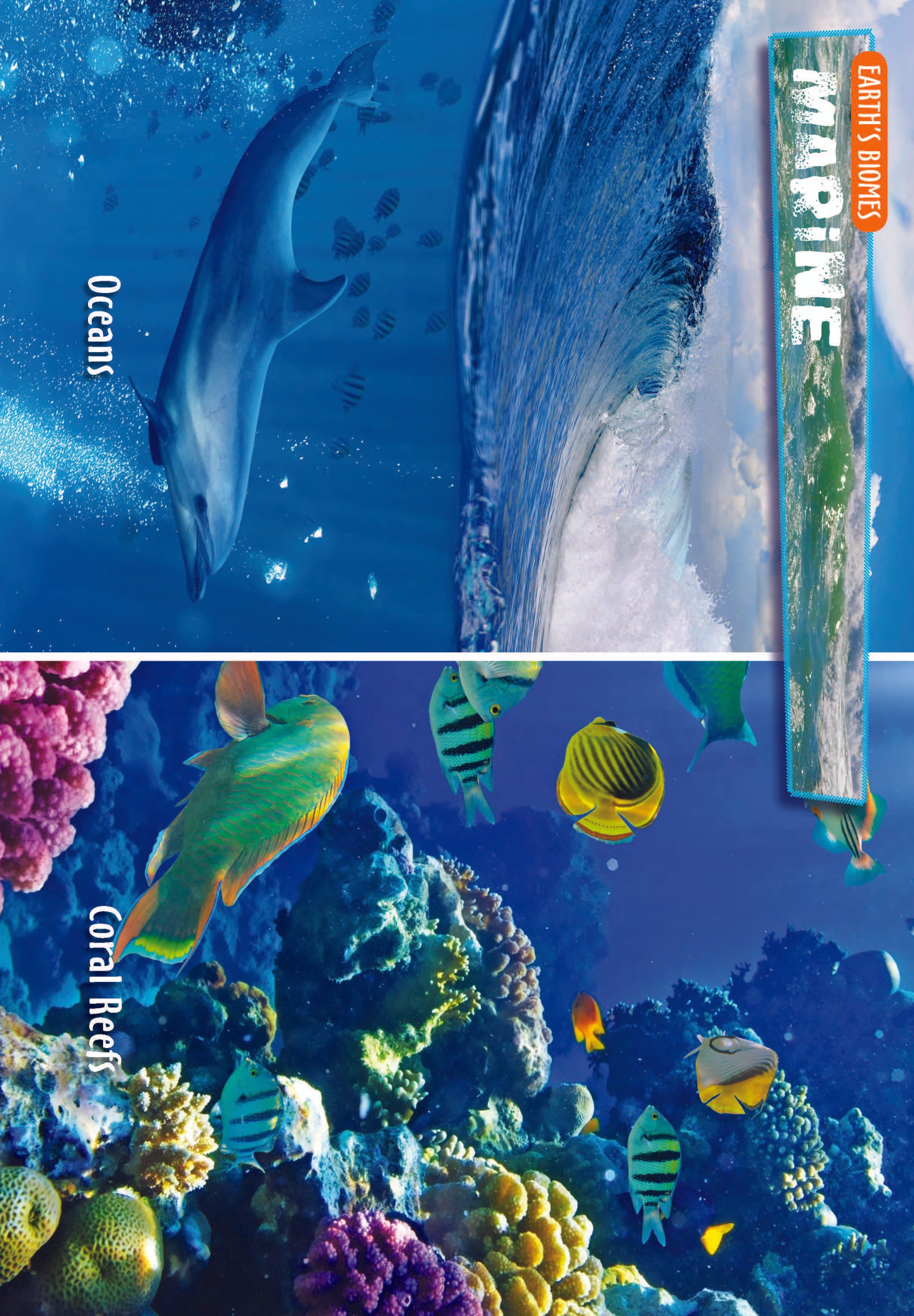 10 Life Biome Full Color Mini-Posters Grades 3+