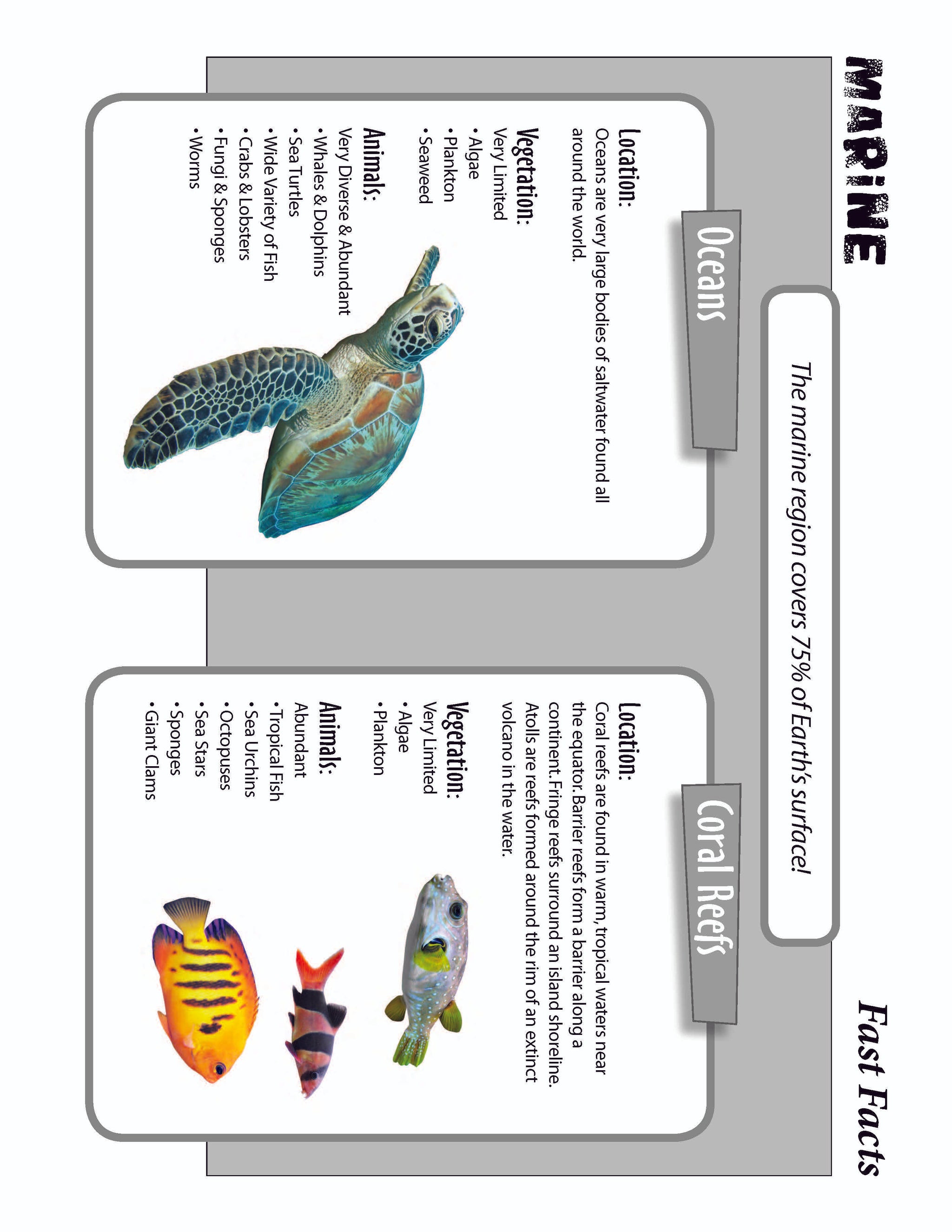 10 Life Biome Full Color Mini-Posters Grades 3+