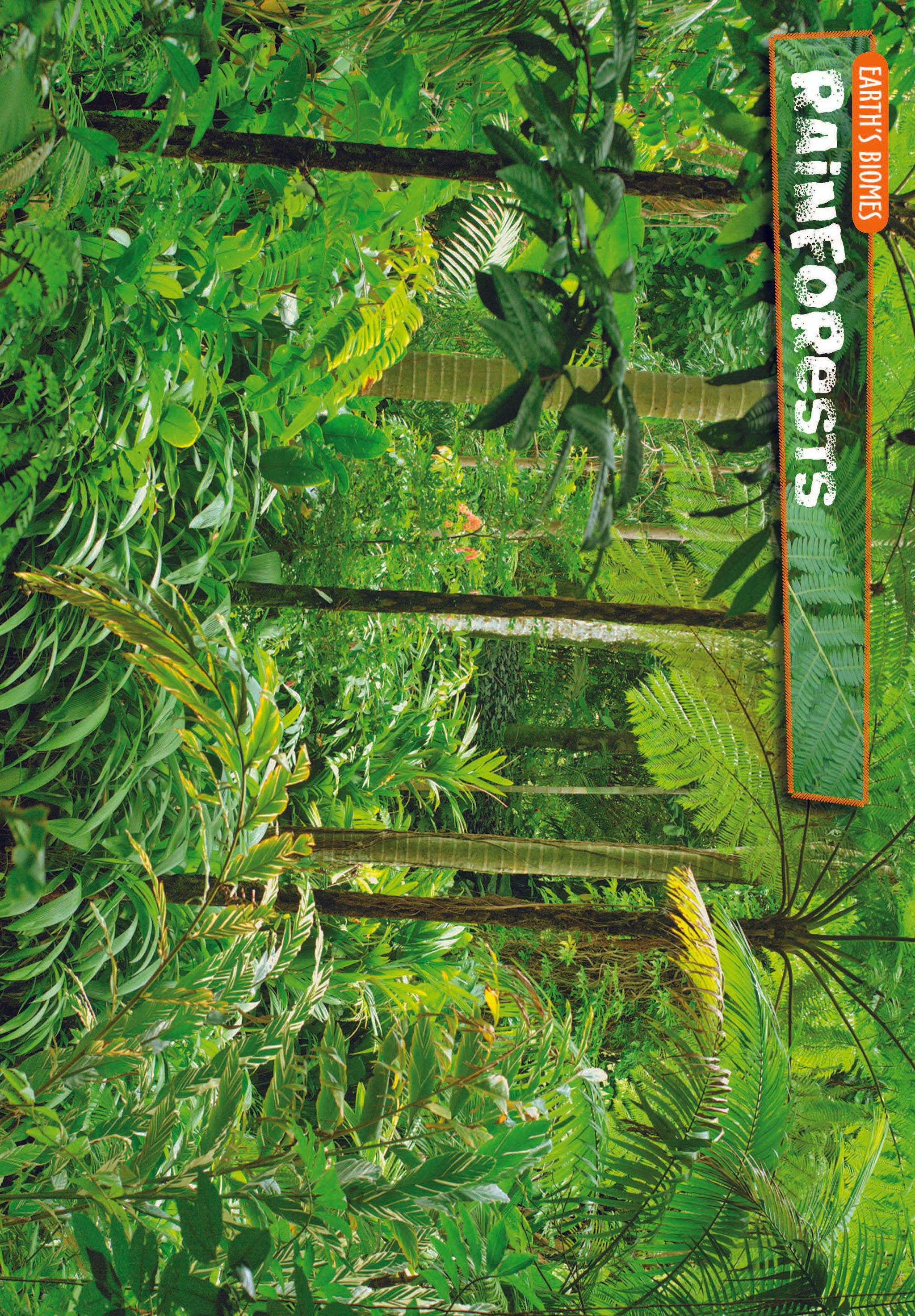 10 Life Biome Full Color Mini-Posters Grades 3+