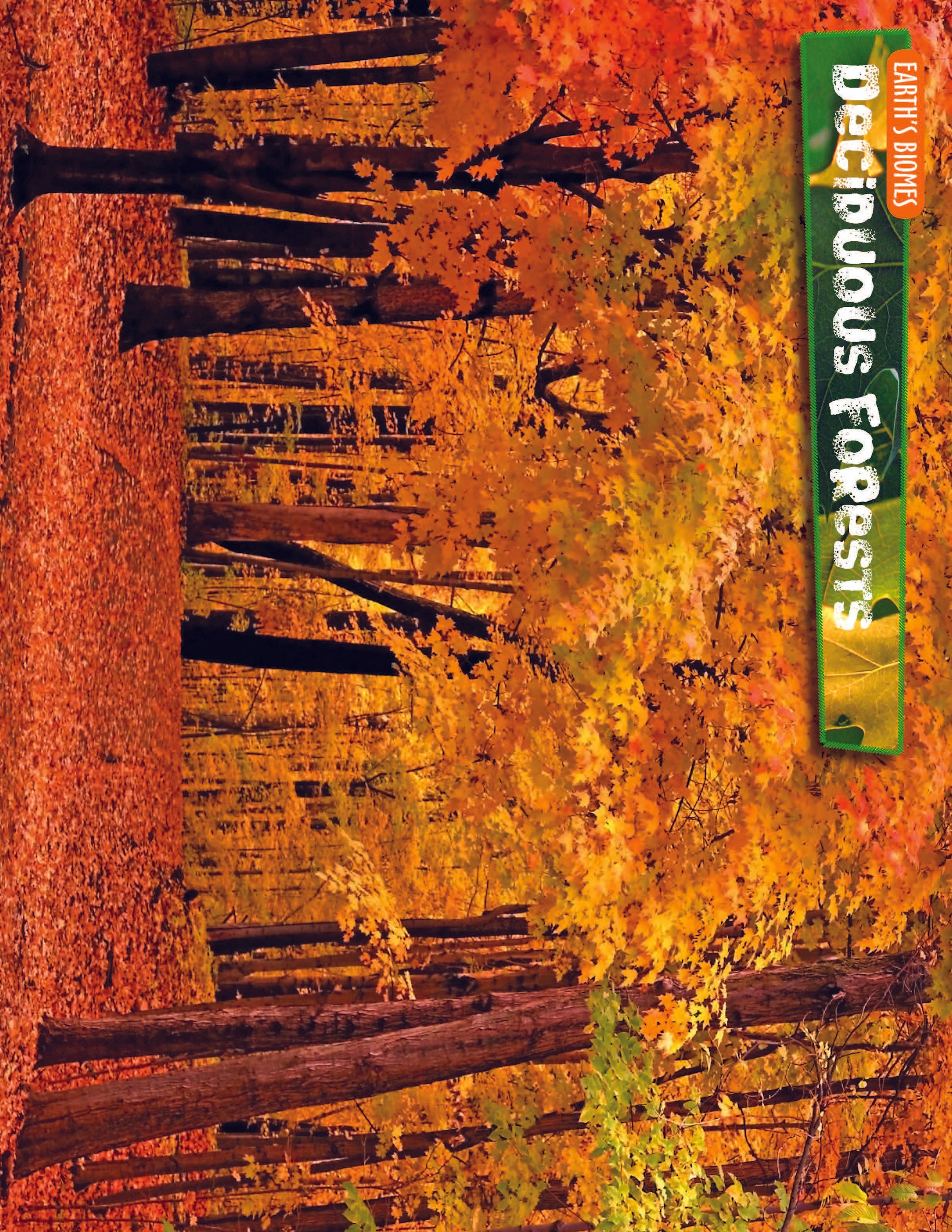 10 Life Biome Full Color Mini-Posters Grades 3+