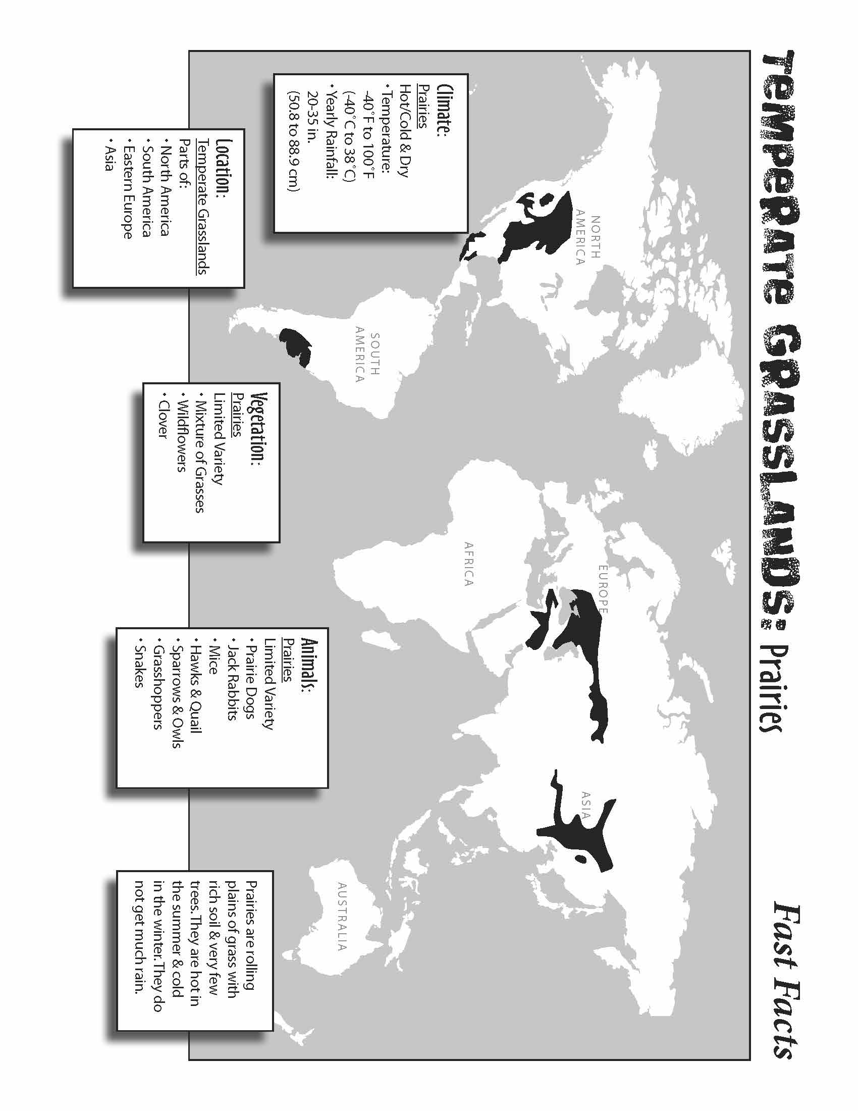 10 Life Biome Full Color Mini-Posters Grades 3+