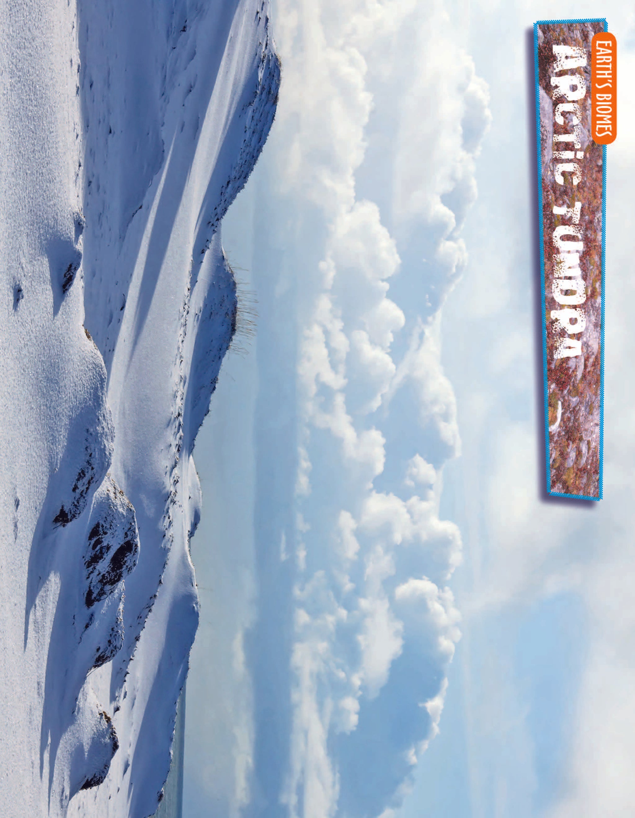 10 Life Biome Full Color Mini-Posters Grades 3+