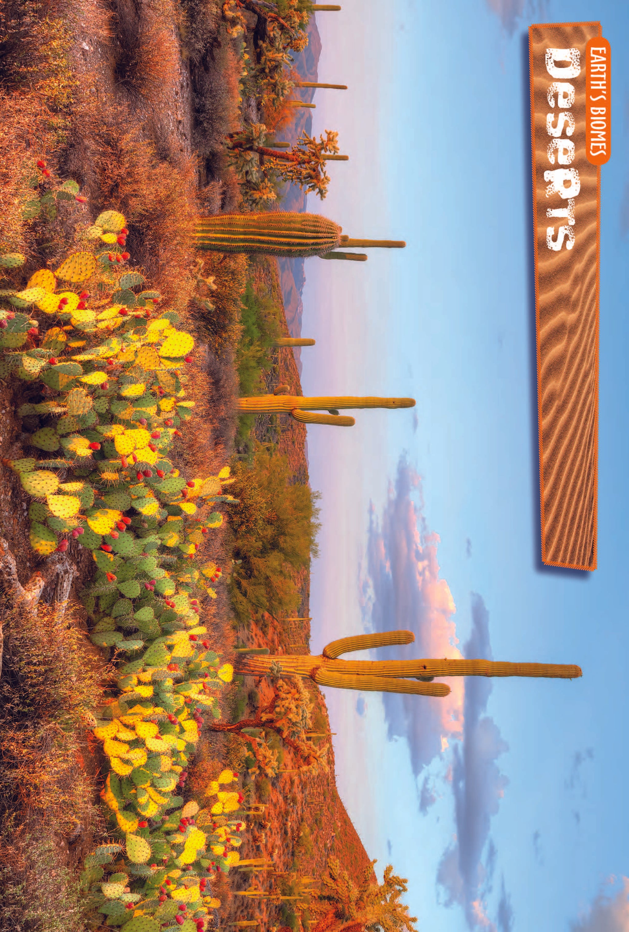 10 Life Biome Full Color Mini-Posters Grades 3+