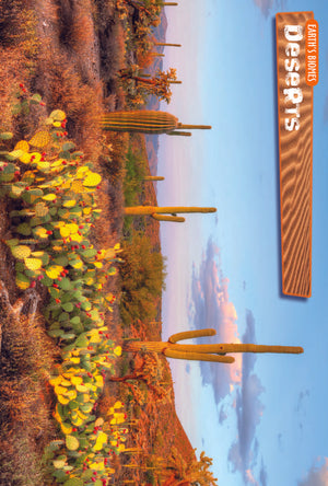 10 Life Biome Full Color Mini-Posters Grades 3+