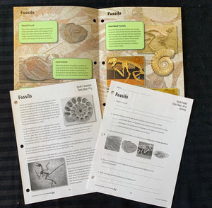Fossils: Reading Info, Follow-Up Worksheets & Fast Fact Folder Grades 4+