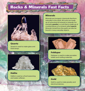 Rocks & Minerals Fast Fact Reading Folder Grades 4+