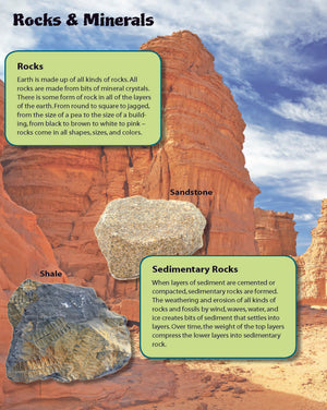 Rocks & Minerals Fast Fact Reading Folder Grades 4+