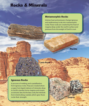 Rocks & Minerals Fast Fact Reading Folder Grades 4+