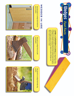 14 Physical Science Mini-Posters Grades 4+