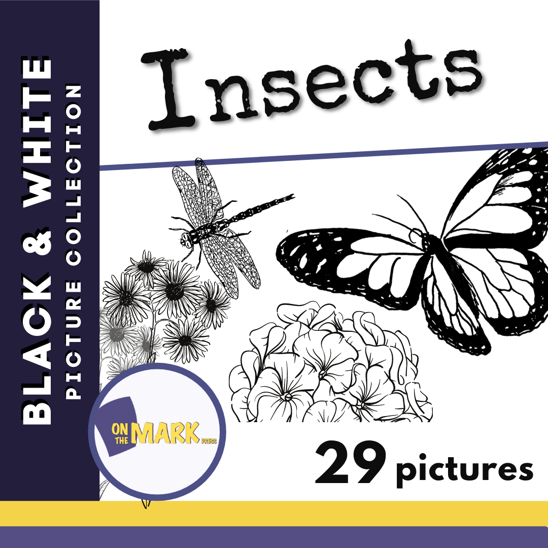 Insects Black & White Picture Collection Grades K-8
