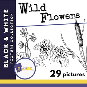 Wild Flowers Black & White Picture Collection Grades K-8
