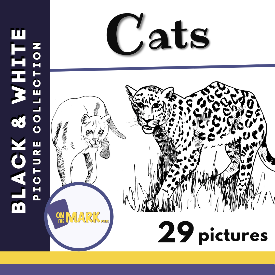 Cats Picture Collection Grade 1-8