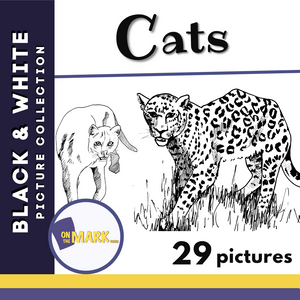 Cats Picture Collection Grade 1-8