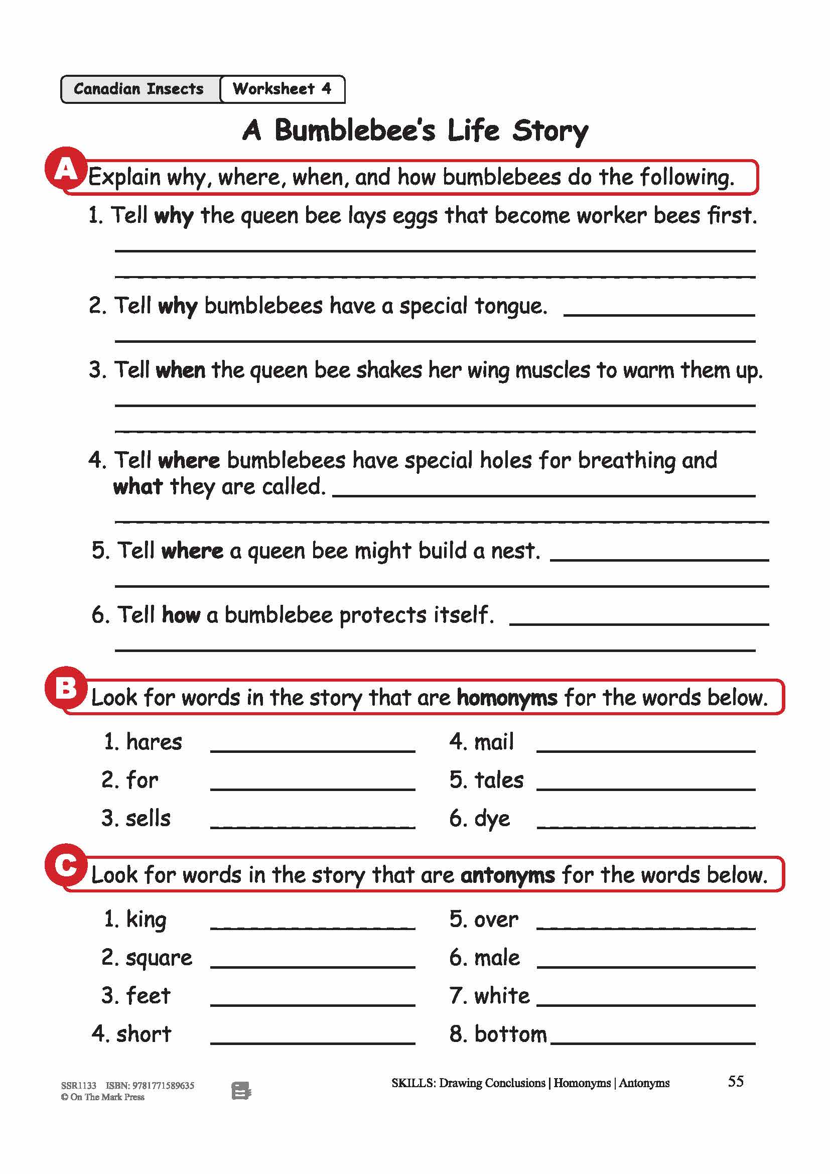 A Bumblebee's Life Story Reading Lesson Grades 2-3