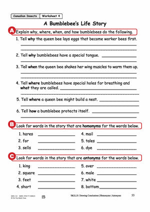 A Bumblebee's Life Story Reading Lesson Grades 2-3