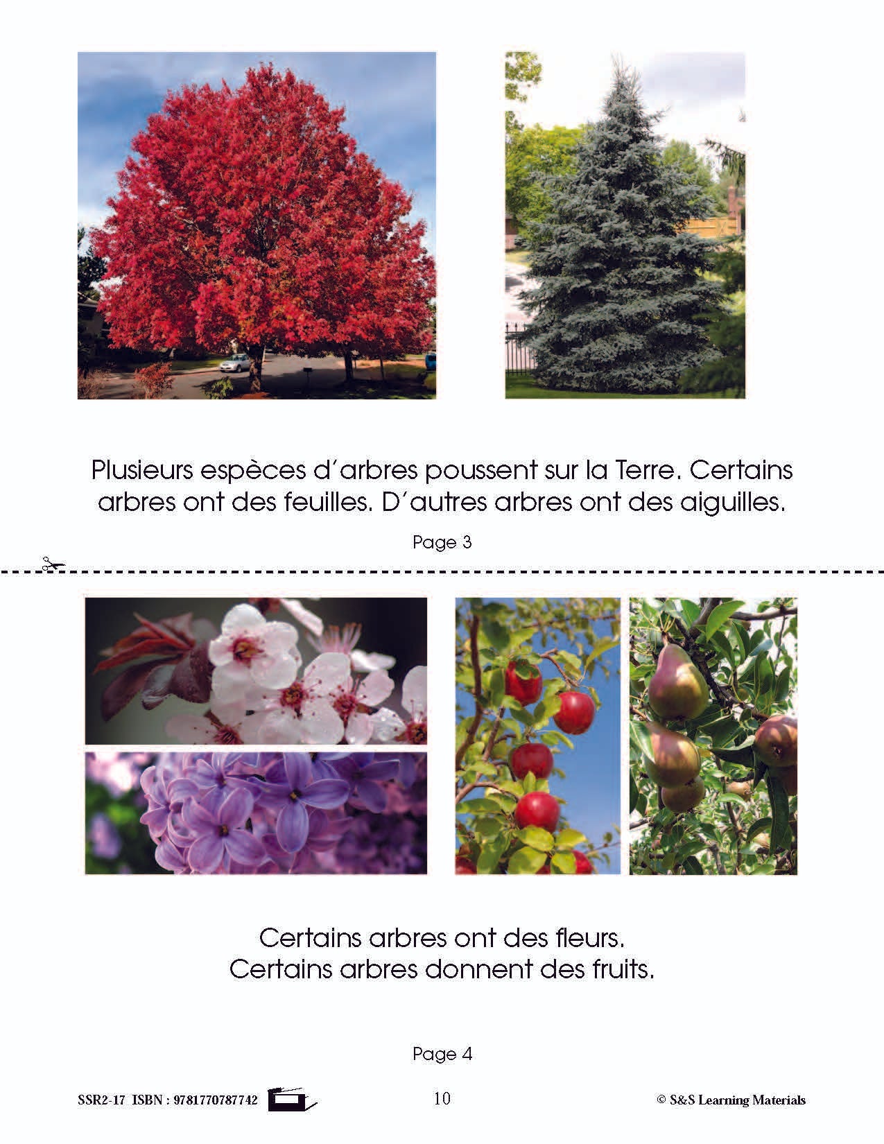 C'est un fait : Activités de compréhension de textes informatifs 1e année