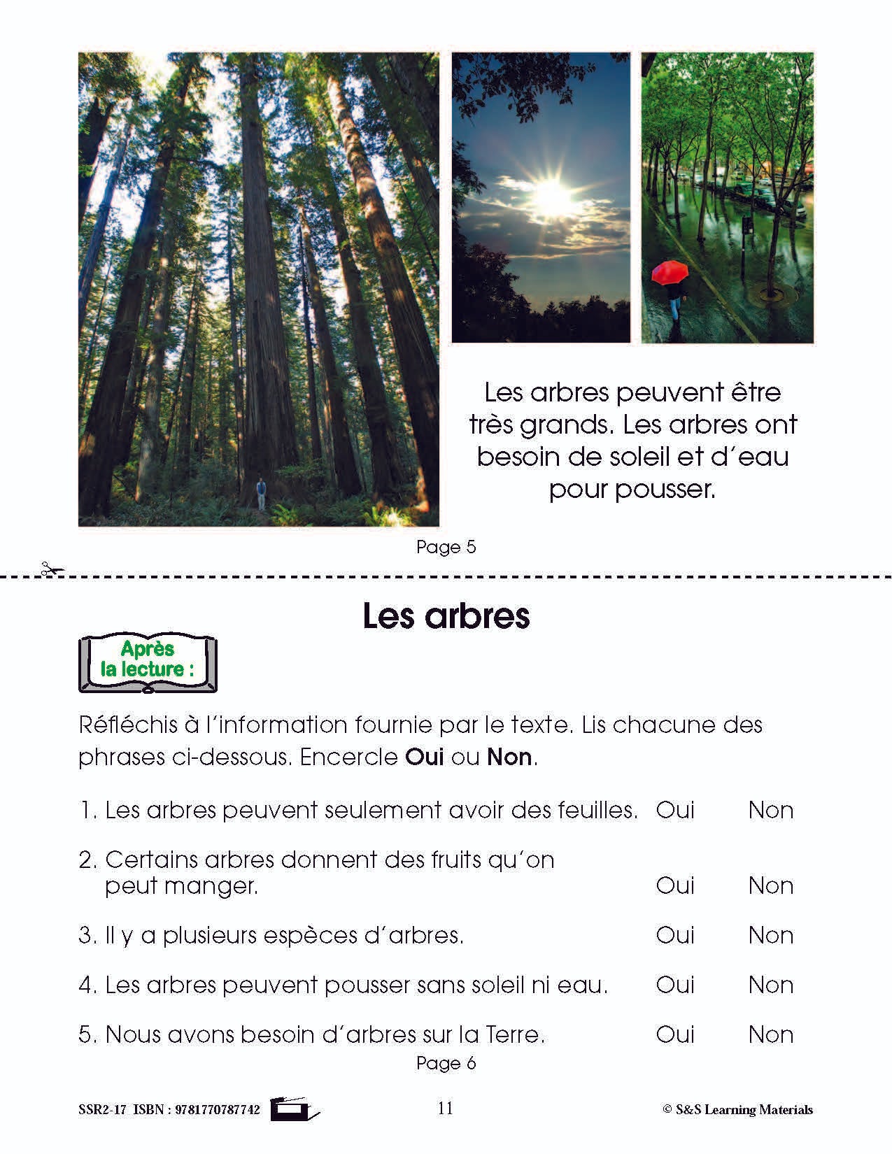 C'est un fait : Activités de compréhension de textes informatifs 1e année