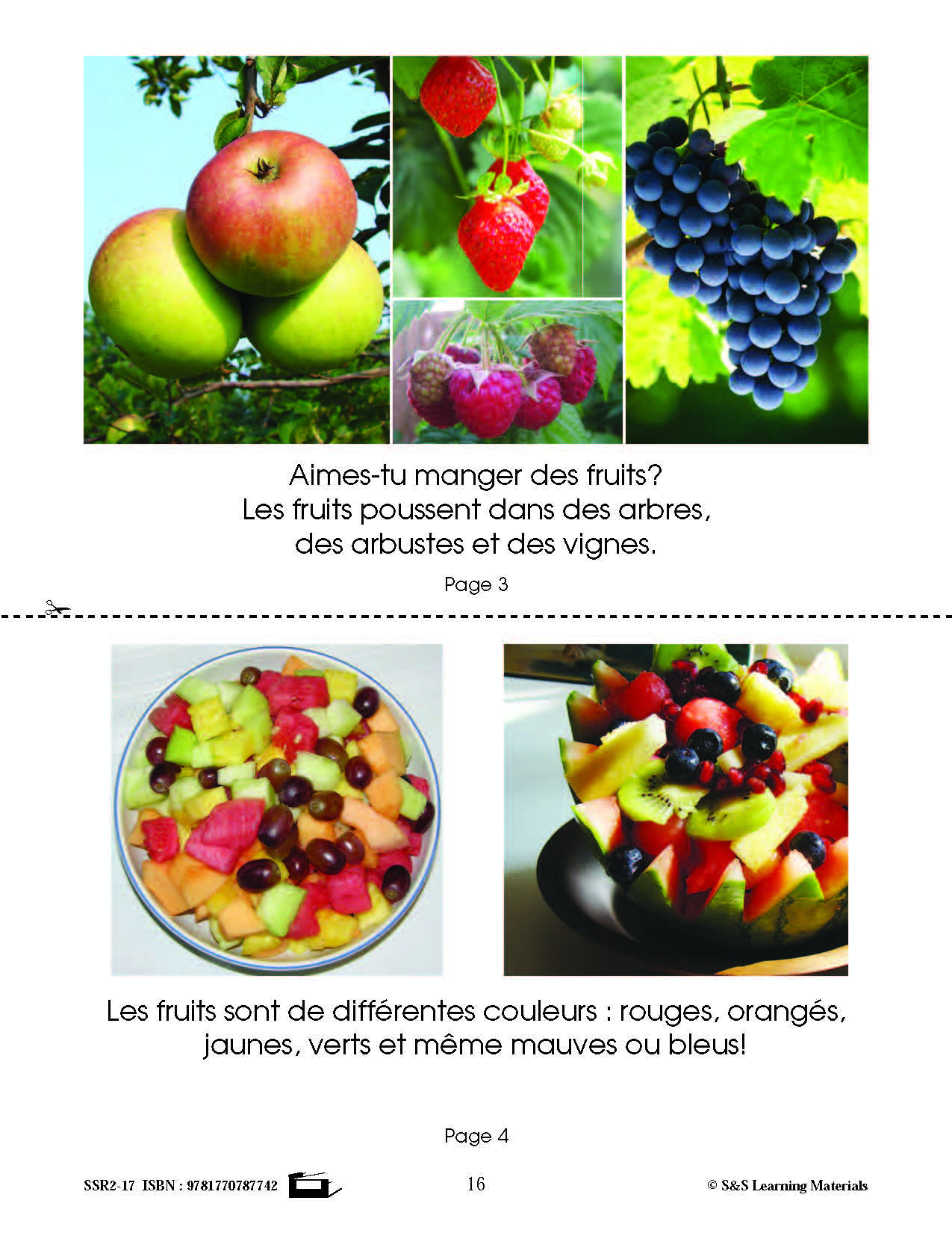 C'est un fait : Activités de compréhension de textes informatifs 1e année